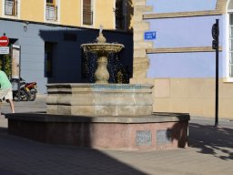 Castillo de Alhama 2008